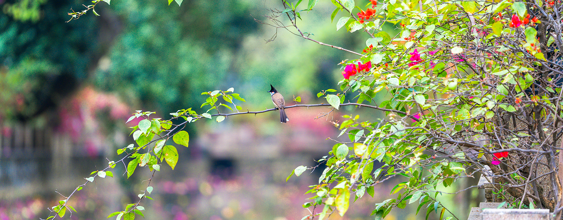 9428cn太阳集团古天乐